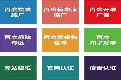 知名SEM代运营公司案例解析